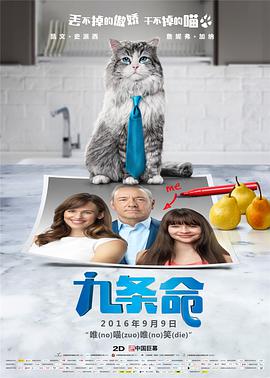 高清蓝光在线观看