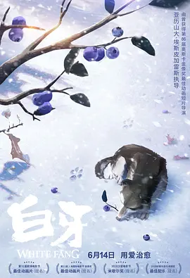 完结高清影视