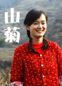 HD国语中字