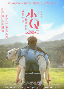 DVD高清完整版