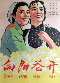 DVD高清完整版