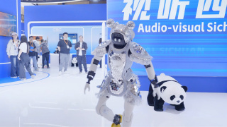 DVD高清完整版